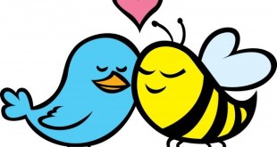 birds_bees
