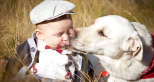 Dog giving the baby a kiss!